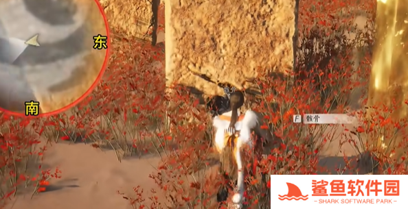 燕云十六声骸骨哀任务怎样完成