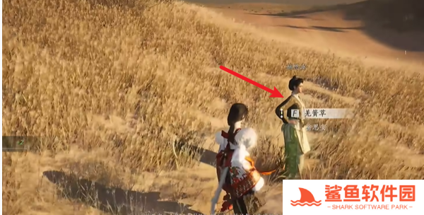 燕云十六声万事知与卿书任务怎么完成