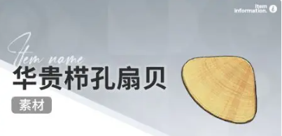 开放空间赶海收集物什么时候会出现