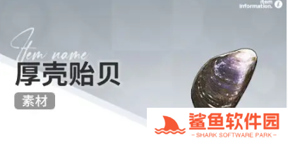 开放空间赶海收集物什么时候会出现