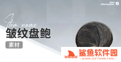 开放空间赶海收集物什么时候会出现