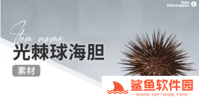 开放空间赶海收集物什么时候会出现