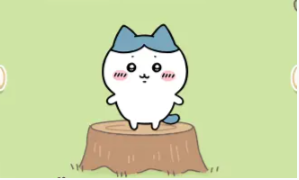 口袋吉伊卡哇角色图鉴大全