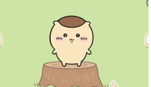 口袋吉伊卡哇角色图鉴大全