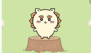 口袋吉伊卡哇角色图鉴大全