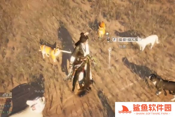 燕云十六声猫瘾患者奇遇怎么完成 燕云十六声猫瘾患者奇遇怎么完成