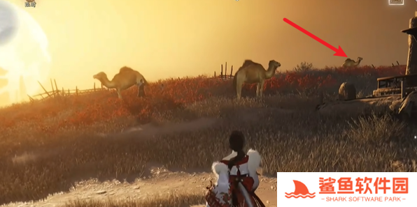 燕云十六声万事知骆驼铃铛任务怎么完成